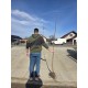 Kaki Ciocolatino pe rod (radacina nuda)