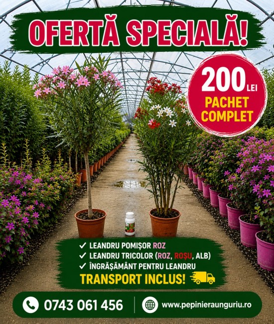 Pachet Promotional leandru pomisor+tricolor+ingrasamant+Transport GRATUIT Pachet Promotional leandru pomisor+tricolor+ingrasamant+Transport GRATUIT