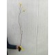 Dud negru 80-100 cm