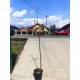 Kaki Tipo pe rod (ghiveci)