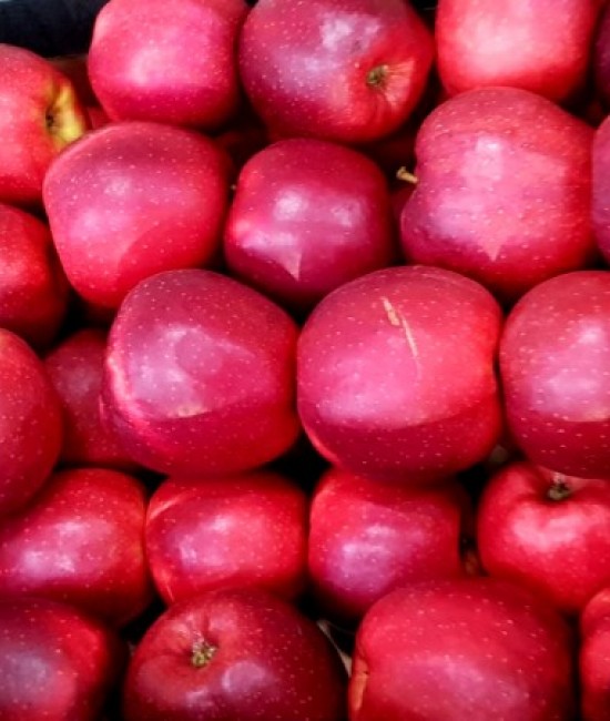 Mar Ionaprice(radacina nuda)