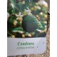 Lime Combava 50-70cm (ghiveci)