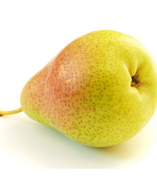 Par Limonera (radacina nuda)