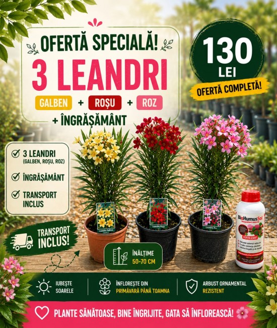 Pachet Promoțional – 3 Leandri + Îngrășământ + Transport GRATUIT Pachet Promoțional – 3 Leandri + Îngrășământ + Transport GRATUIT