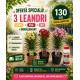 Pachet Promoțional – 3 Leandri + Îngrășământ + Transport GRATUIT Pachet Promoțional – 3 Leandri + Îngrășământ + Transport GRATUIT