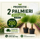 Pachet 2 Palmieri Washingtonia 70-90cm (ghiveci)
