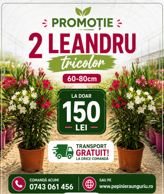 Pachet Promotional 2 Leandru Tricolor (  Alb, Rosu, Roz)