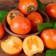 Kaki Vaniglia pe rod (radacina nuda)