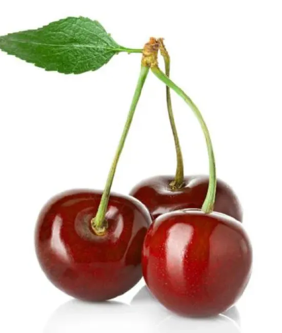Vișin Marasca (radacina nuda) Vișin Marasca (radacina nuda)